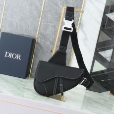 Christian Dior Waist Chest Packs